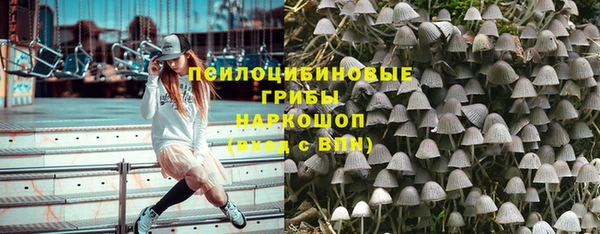 PSILOCYBIN Касимов