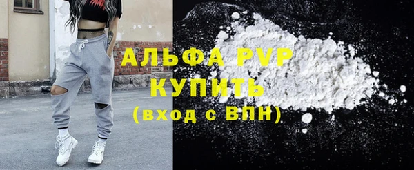 соль ск Инсар