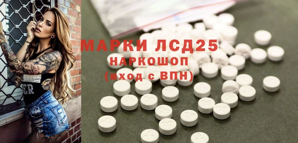 соль ск Инсар
